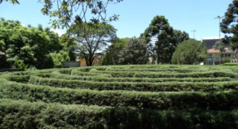 Natal no Jardim da Serra Gaúcha envolve religiosidade, tradição e alegria