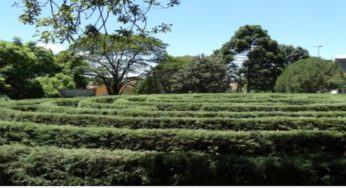 Nova Petrópolis planeja dar continuidade ao Natal no Jardim da Serra Gaúcha 2020