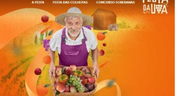 Festa da Uva de Caxias do Sul será em 2022, por causa da Covid-19