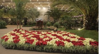 A Festas das Flores de Joinville 2020 terá como tema “As quatro Estações”