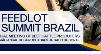 FEEDLOT SUMMIT BRAZIL 2021 será em junho, veja mais detalhes