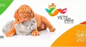 Vest in Rio 2021 será em novembro, veja mais detalhes