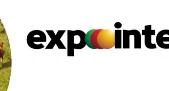 Expointer 2022 contará com mais de 100 expositores de artesanato na Expoargs