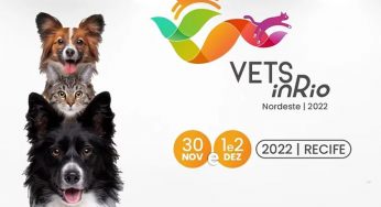 Vets in Rio 2022 será em novembro, confira mais detalhes