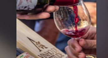 Ingressos disponíveis para o Vinho na Vila 2022