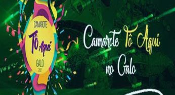 Ingressos para o Camarote Tô aqui galo 2023