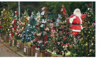 Confira a programação do Natal dos Sonhos 2022 em Campos do Jordão