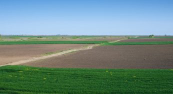 Show Agro Coopernorte 2023 será em maio, veja mais detalhes