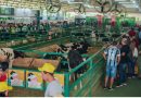 Expodireto Cotrijal 2024: A grande feira do agronegócio gaúcho