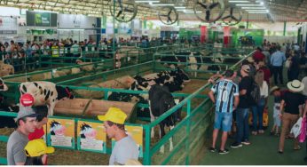 Expodireto Cotrijal 2024: A grande feira do agronegócio gaúcho