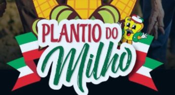 Festa da Polenta 2023: Início da festa é com o plantio do milho, veja mais detalhes
