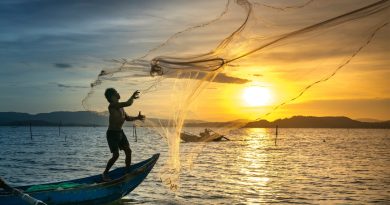 Festa de São Pedro Pescador 2023: veja a programação (imagem: canva)