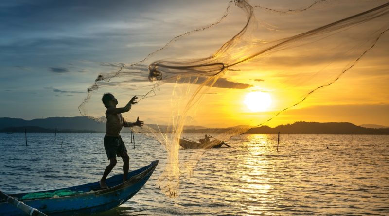 Festa de São Pedro Pescador 2023: veja a programação (imagem: canva)