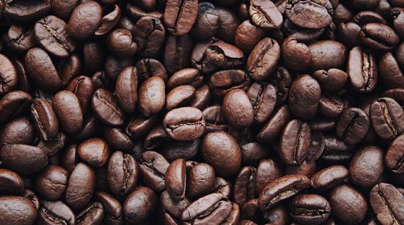 Festa do Café, Cuca e Linguiça 2023 começa neste sábado. Veja a programação (imagem: Canva)