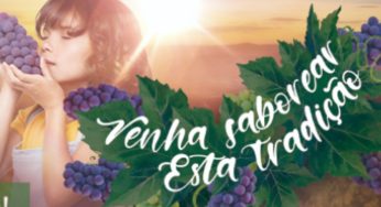 Festa da Uva de Jundiaí 2024 começa esta semana, veja um guia completo