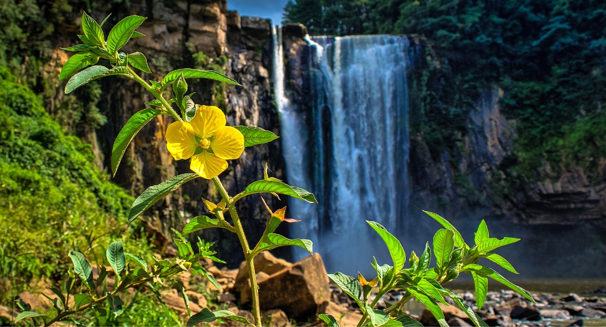 Prudentópolis (imagem: Canva)