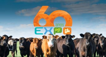 Confira a programação da Expo Rio Preto 2023