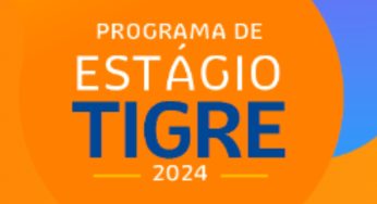 Programa de Estágio Tigre 2024: Veja como fazer sua inscrição e requisitos
