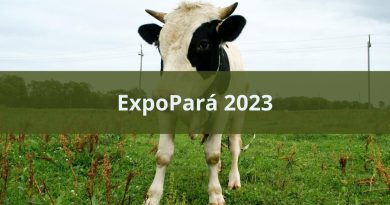 ExpoPará 2023 já começou em Belém. Veja as atrações (imagem: Canva)
