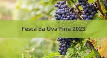 Festa da Uva Fina 2023 começa hoje (11). Veja as atrações