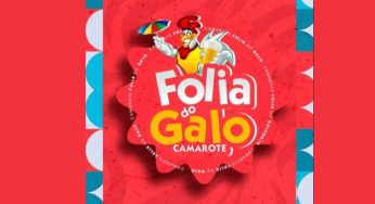 Camarote Folia do Galo 2024: Veja como comprar seu ingresso do Carnaval em Recife