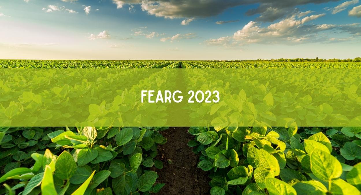 FEARG 2023 (imagem: Canva)