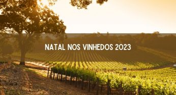 Natal nos Vinhedos 2023: veja as atrações confirmadas