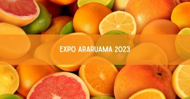 Expo Araruama 2023 começa nesta quinta (2), veja as atrações (imagem: Canva)