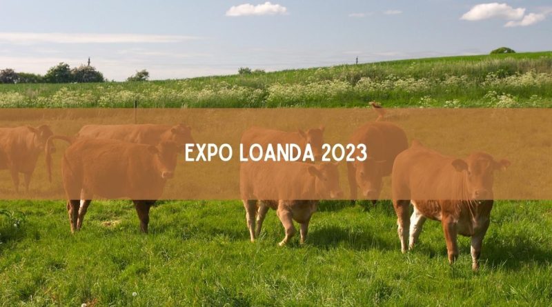 Expo Loanda 2023: veja os shows confirmados (imagem: Canva)