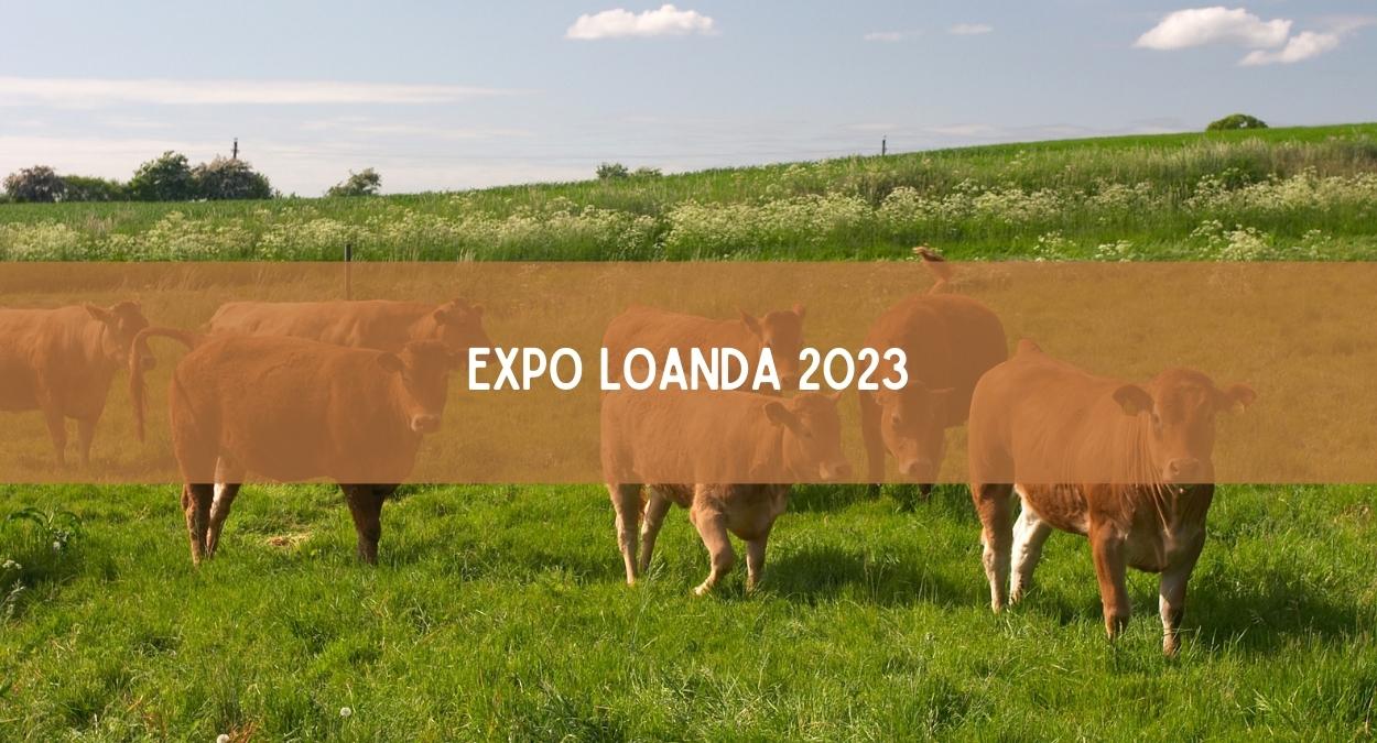 Expo Loanda 2023 (imagem: Canva)