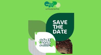 Expo Umuarama 2024: Programação de rodeios