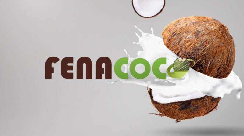 Fenacoco 2023 será em dezembro, veja as atrações (imagem: Canva)