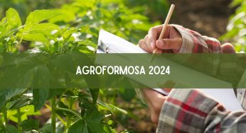 Agroformosa 2024: Formosa do Rio Preto se Prepara Para um Evento Grandioso