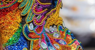 Carnaval 2024: Alinne Rosa lança tema da sua festa (imagem: Canva)
