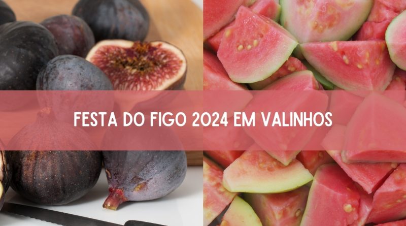 Festa do Figo de Valinhos 2024: veja a programação completa (imagem: Canva)