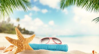 Ensaios de Verão 2024: veja os preparativos para o Carnaval