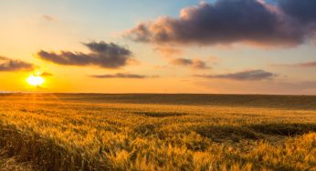 Concurso para Rainha da ExpoParanavaí 2024: inscrições abertas