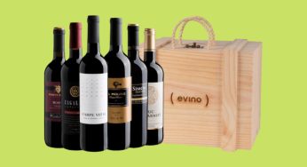 Aproveite Já: Frete Grátis em Seleção Exclusiva de Kits de Vinhos na Evino