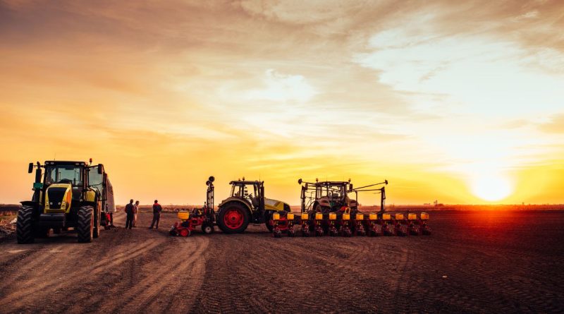 Exposição Agropcuária (imagem: Canva)