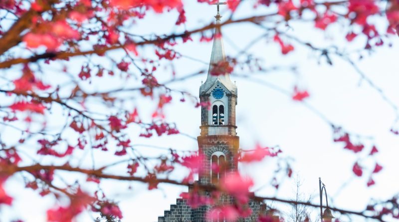 Gramado (imagem: Canva)