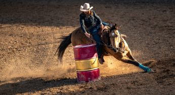 Taboadão Rodeio Show 2024: veja os shows confirmados