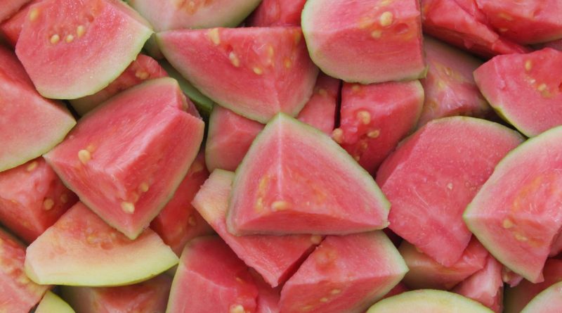 Festa da Goiaba em São Bartolomeu (imagem: Canva)