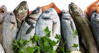 Festa Nacional do Peixe 2024 em Tramandaí: veja a programação