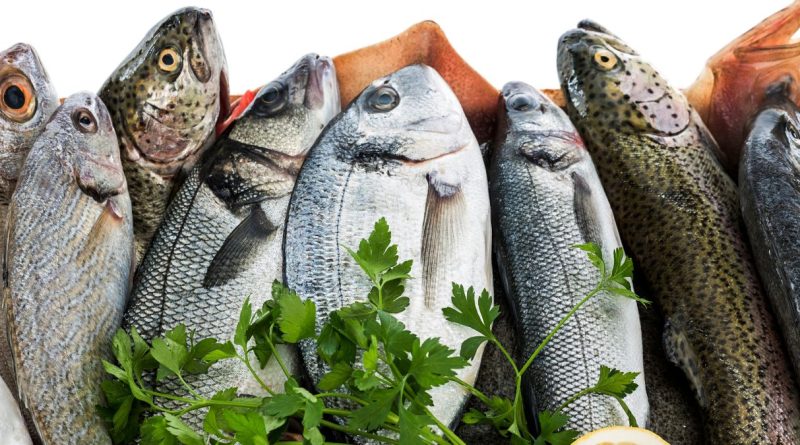 Peixe (imagem: Canva)