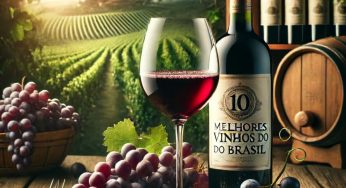 Quais os 10 melhores vinhos do Brasil?