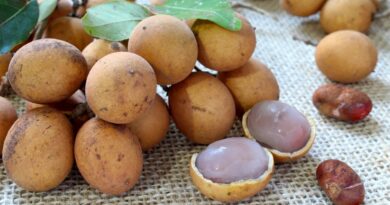 Pitomba (imagem: Canva)