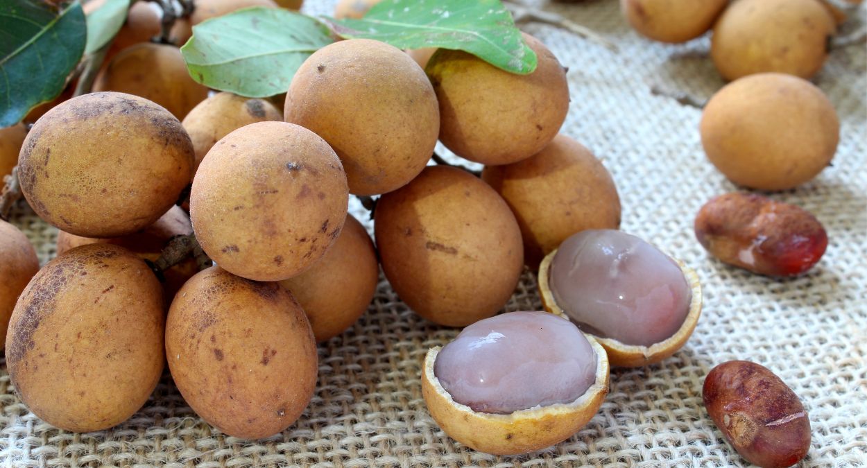 Pitomba (imagem: Canva)