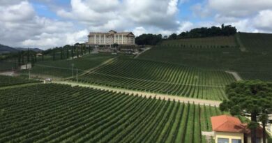 Vale dos Vinhedos (Imagem: Divulgação)