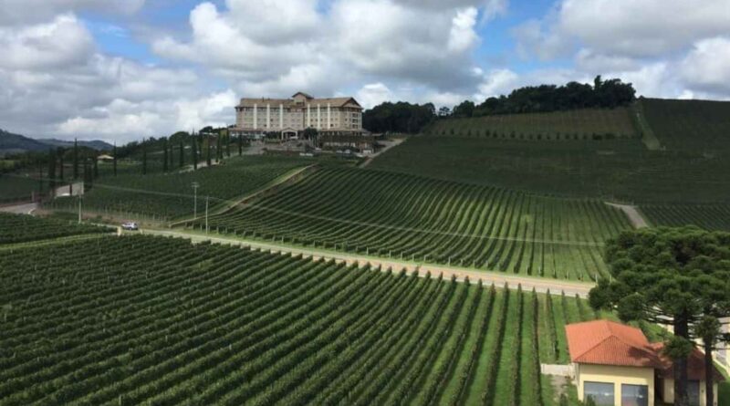 Vale dos Vinhedos (Imagem: Divulgação)