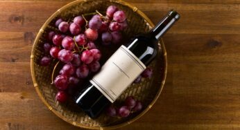 Veraneio da Vindima 2026 em Garibaldi tem colheita da uva, gastronomia e experiências culturais